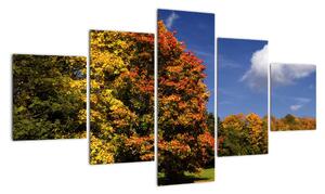Podzimní stromy - obraz do bytu (125x70cm)