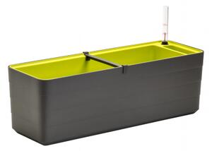 Samozavlažovací truhlík PLASTIA BERBERIS 60 cm antracit + zelená