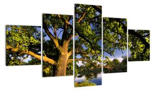 Obraz stromu (125x70cm)