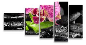 Sablio Obraz - 5-dílný Orchidej na kamenech - 100x60 cm