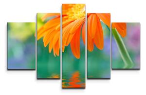 Sablio Obraz - 5-dílný Oranžová gerbera - 125x90 cm
