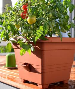 Plastia Květináč samozavlažovací BERGAMOT 50x50 terakota