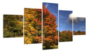 Podzimní stromy - obraz (125x70cm)