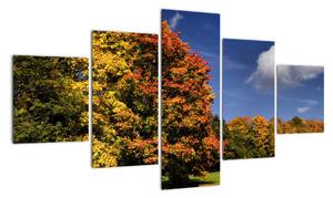 Podzimní stromy - moderní obraz (125x70cm)