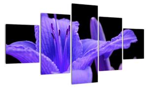Obrazy květiny (125x70cm)