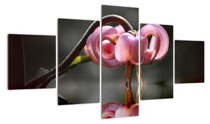 Obraz květiny (125x70cm)