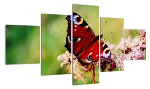 Motýl - obraz (125x70cm)