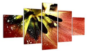 Detail květu - obraz (125x70cm)