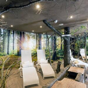 DOTLUX MULTIsun LED podhledové kulaté antracit