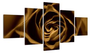 Obraz růže (125x70cm)