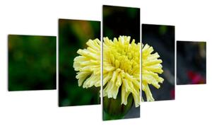 Obrazy květiny (125x70cm)