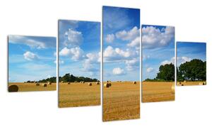 Letní pole - obraz (125x70cm)