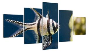 Ryba - obraz (125x70cm)