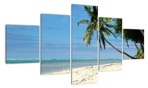 Fotka pláže - obraz (125x70cm)