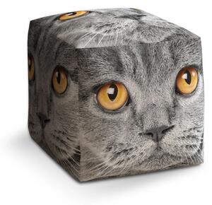 Sablio Taburet Cube Kočičí pohled - 40x40x40 cm
