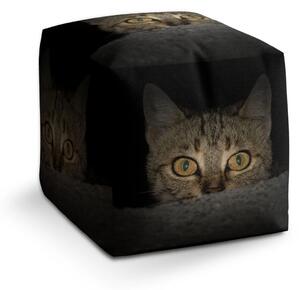 Sablio Taburet Cube Kočka - 40x40x40 cm