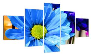 Modrá chryzantéma - obrazy (125x70cm)