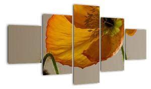 Žlutá květina - obraz (125x70cm)