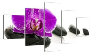 Orchidej - obraz (125x70cm)