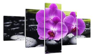 Obraz - orchidej (125x70cm)