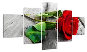 Růže červená - obraz (125x70cm)