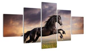 Kůň - obraz (125x70cm)
