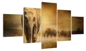 Obraz slona (125x70cm)