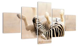 Obraz zebry (125x70cm)
