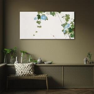 Obraz na skle Obraz na skle Hmyz a květiny
