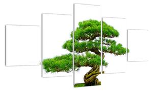 Bonsai - moderní obraz (125x70cm)