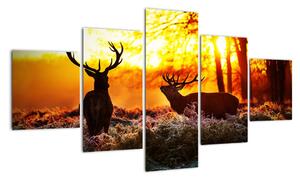Fotka jelenů - obraz (125x70cm)