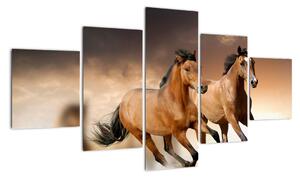 Koně - obraz (125x70cm)