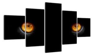 Zvířecí oči - obraz (125x70cm)