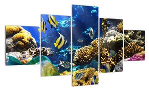 Podmořský svět - obraz (125x70cm)