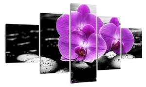 Obraz orchidejí (125x70cm)