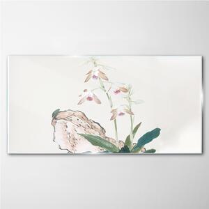 Obraz na skle Obraz na skle Hmyz a květiny