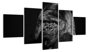 Obraz opice (125x70cm)