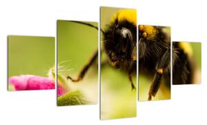 Včela - obraz (125x70cm)