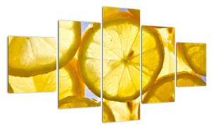 Plátky citrónů - obraz (125x70cm)