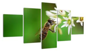 Fotka včely - obraz (125x70cm)