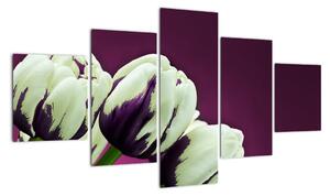 Makro tulipánů - obraz (125x70cm)