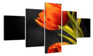 Obraz tulipánů (125x70cm)
