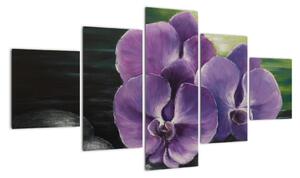Obraz květů orchideje (125x70cm)