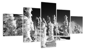 Obraz - zimní hory (125x70cm)