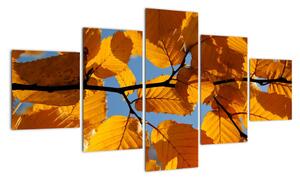 Podzimní listí - obraz (125x70cm)
