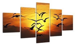 Obraz letících ptáků (125x70cm)