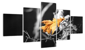 Obraz - přicházející podzim (125x70cm)
