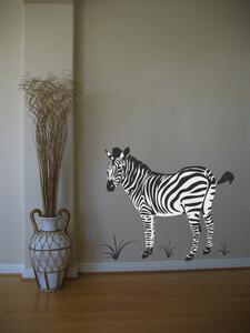 Zebra - samolepka na zeď