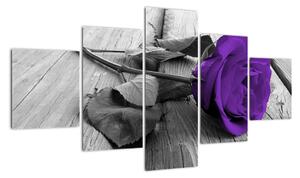 Obrazy květin - růže (125x70cm)