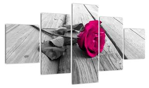 Obrazy květin - růže (125x70cm)
